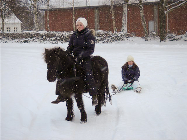 Sjov i snevejr - Monica Skibsted & Rikke Strate